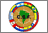 South America (CONMEBOL) flag
