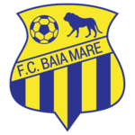 FCM Baia Mare logo