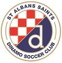 St Albans Saints logo