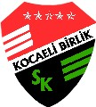 Kocaeli Birlikspor logo
