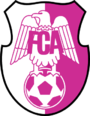 FC Arges Pitesti logo