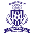 CSM Ramnicu Valcea logo