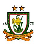 Llanidloes Town logo