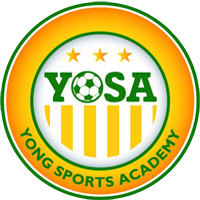 Young Sports Academy logo