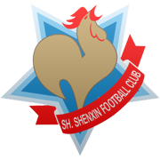 Shanghai Shenxin FC logo