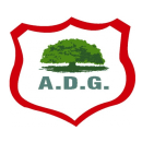 AD Guanacasteca logo