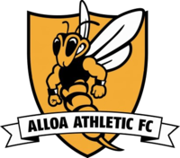 STATAREA - Alloa Athletic vs Edinburgh City match information