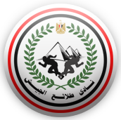 STATAREA - Al Mokawloon vs El Geish match information